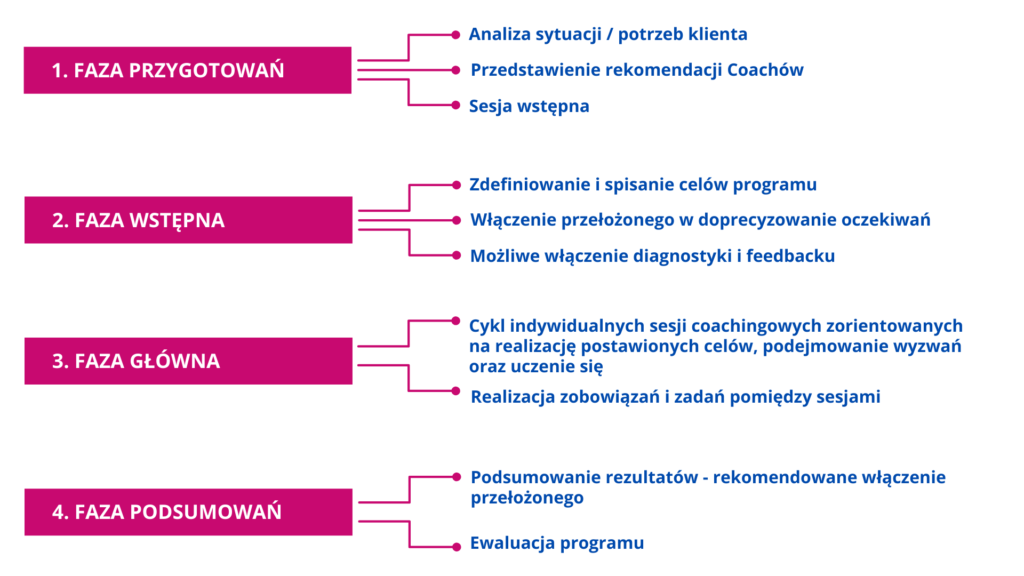 proces mentoringowy struktura